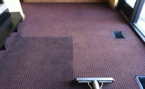 CARPET03